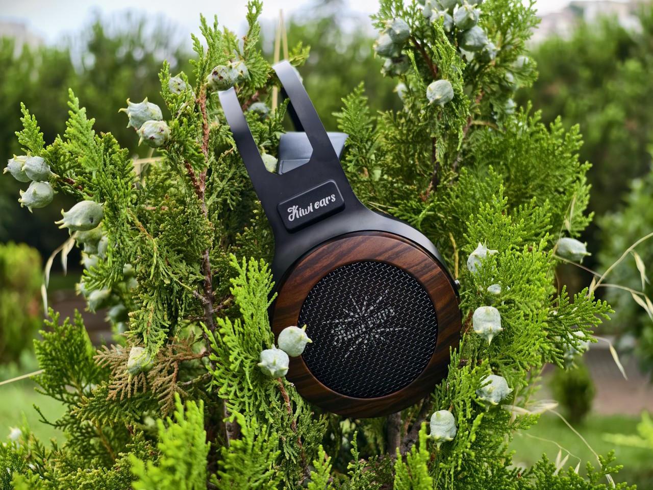 Kiwi Ears Altruva Review 126 Kiwi Ears Altruva Review