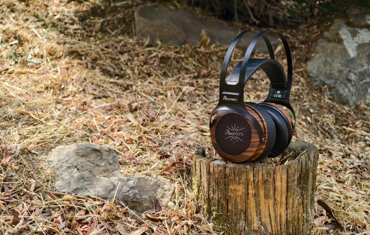 Kiwi Ears Altruva Review 119 Kiwi Ears Altruva Review