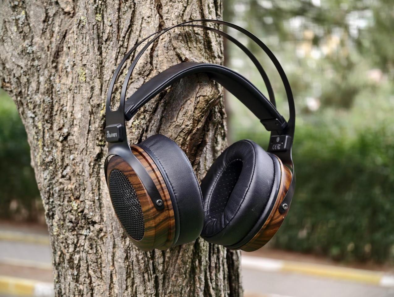 Kiwi Ears Altruva Review 125 Kiwi Ears Altruva Review