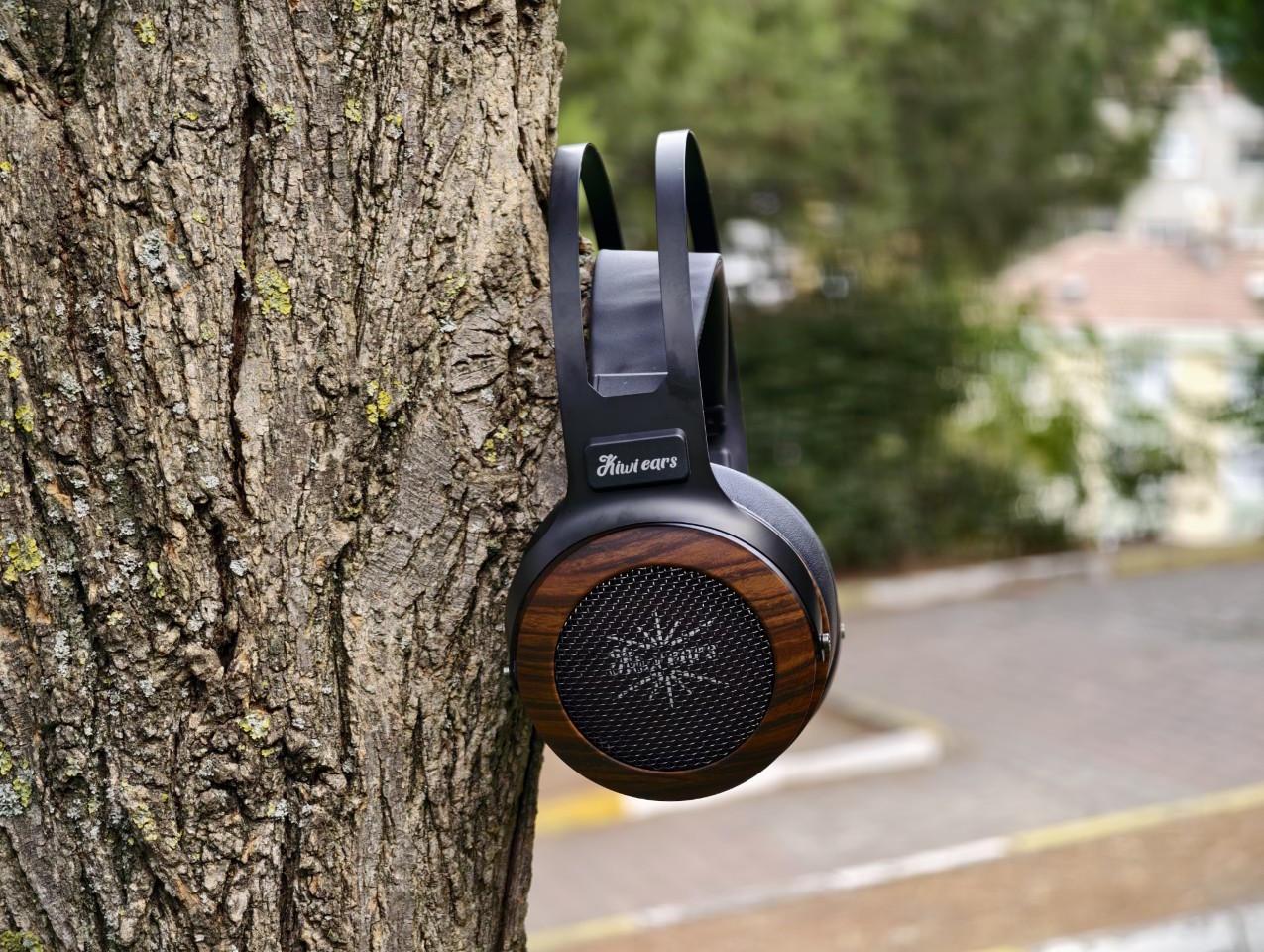 Kiwi Ears Altruva Review 123 Kiwi Ears Altruva Review