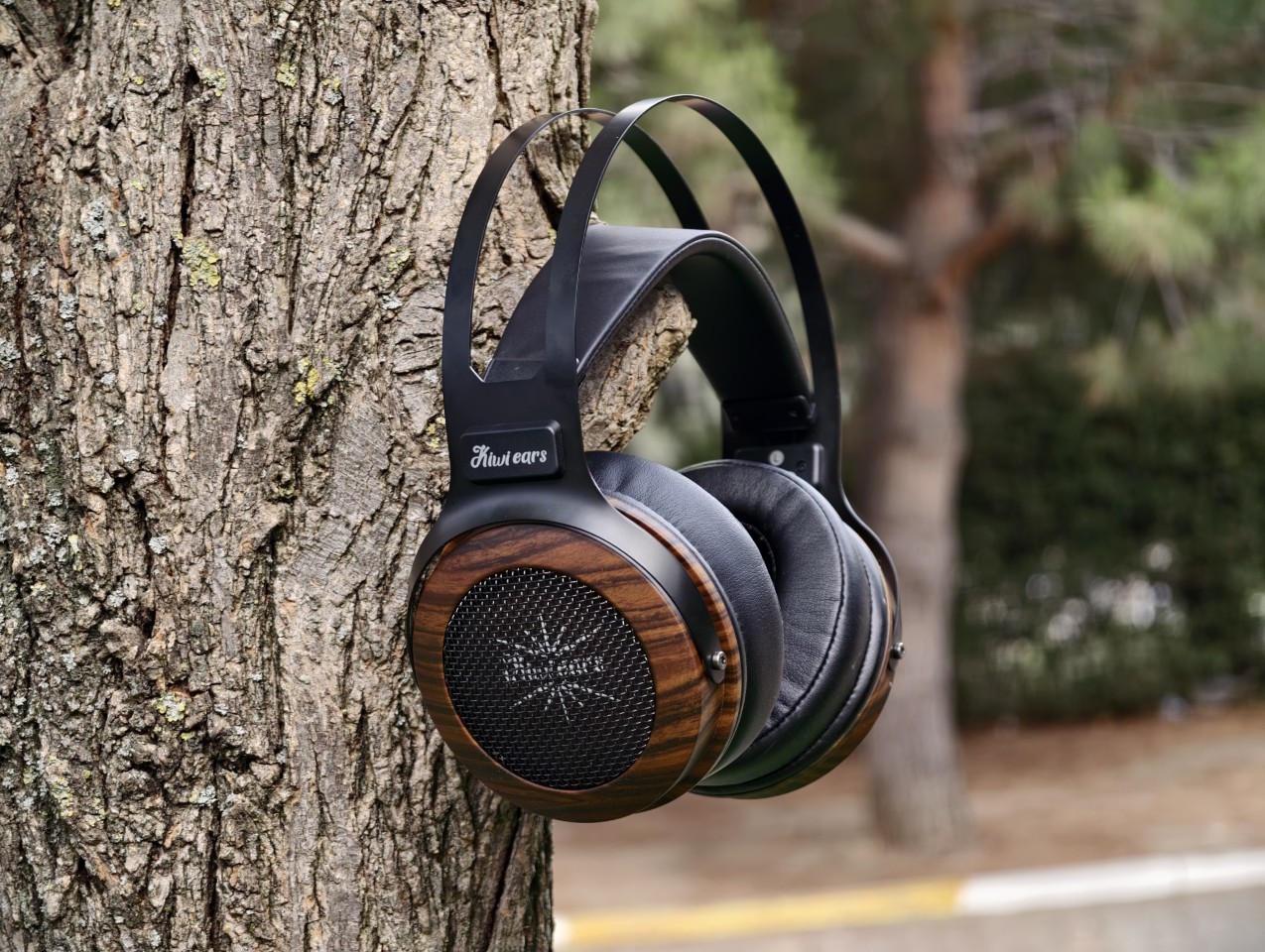 Kiwi Ears Altruva Review 124 Kiwi Ears Altruva Review