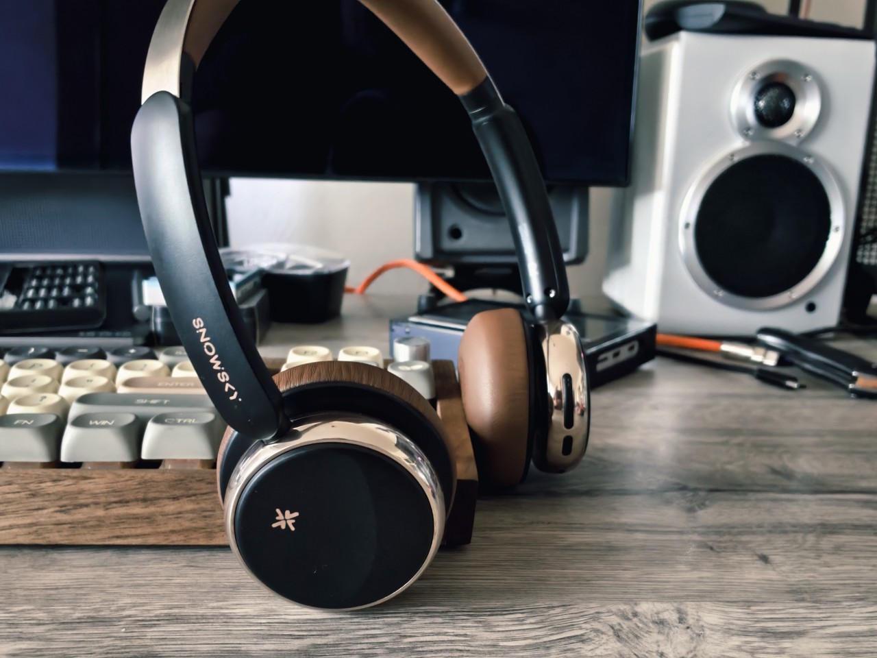 FiiO SNOWSKY Anytime Review 116 FiiO SNOWSKY Anytime Review